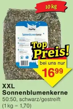 Wiglo Wunderland XXL Sonnenblumenkerne Angebot
