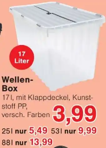 Wiglo Wunderland Wellen Box Angebot