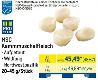 METRO MSC Kammmuschelfleisch Angebot