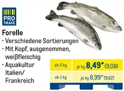 METRO Forelle Angebot