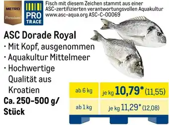 METRO METRO Premium ASC Dorade Royal Angebot
