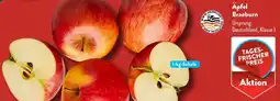 Aldi Süd Äpfel Braeburn Angebot