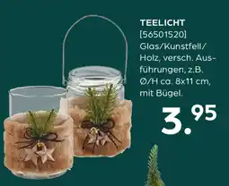 Möbel Buss Teelicht Angebot