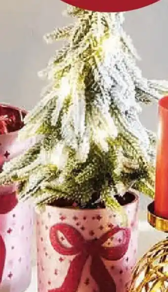 Möbel Buss LED-deko-bäumchen Angebot