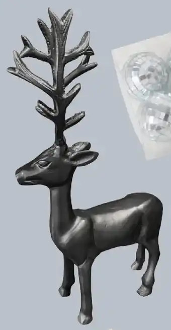 Möbel Buss Deko-rentier Angebot