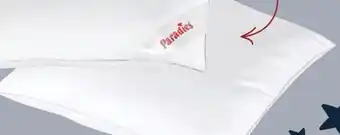 Möbel Buss Paradies KISSEN Angebot