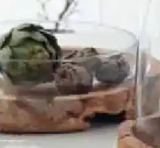 Zurbrüggen LEONARDO Serie Toscana Angebot