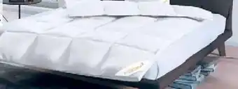 Zurbrüggen SPESSART TRAUM Winterbett Premium Angebot