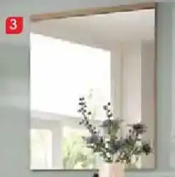 Zurbrüggen Voleo Spiegel Angebot