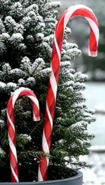 Thomas Philipps Weihnachts Deko Zuckerstange Angebot