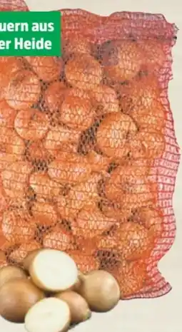 Thomas Philipps Speisezwiebeln XXL Angebot