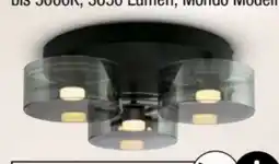 Ostermann Mondo Deckenleuchte Karena Angebot