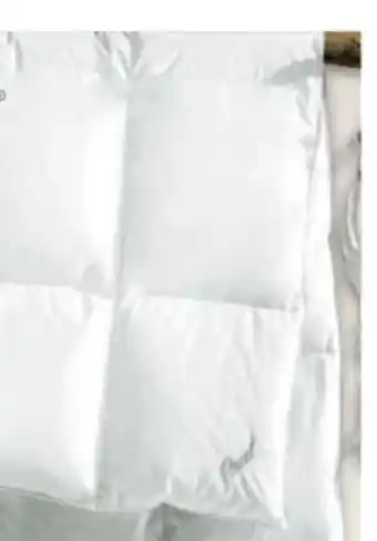 Ostermann Künsemüller Ganzjahresbetten Pearl Angebot