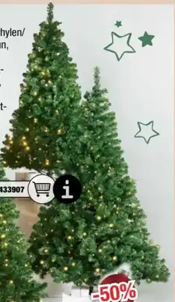 Ostermann Tannenbäume Angebot