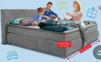 Trends Möbel Boxspringbett Fedra Angebot