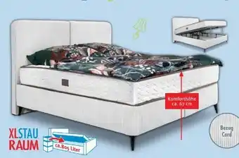 Trends Möbel Boxbett Sook Angebot