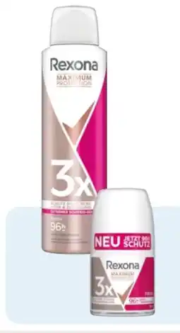 Rossmann Rexona Maximum Protection Deospray Angebot