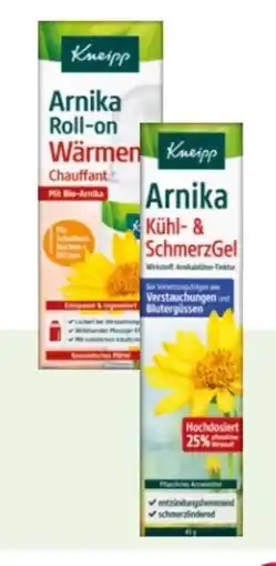 Rossmann Kneipp Arnika Roll-on Wärmend Angebot