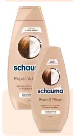 Rossmann Schwarzkopf Schauma Shampoo Angebot