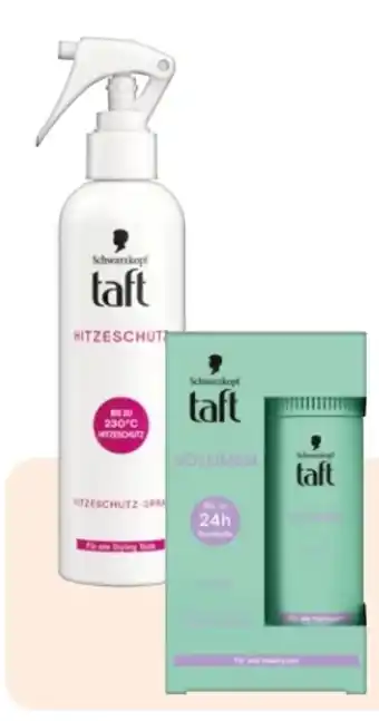 Rossmann Schwarzkopf Taft Hitzeschutz-Spray Angebot