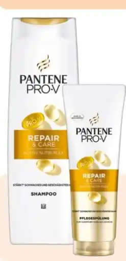 Rossmann Pantene Pro-V Shampoo Angebot