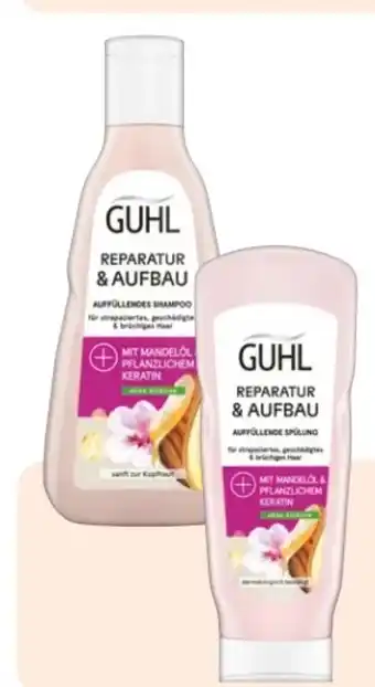 Rossmann Guhl Shampoo Angebot