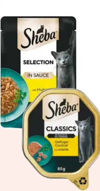 Rossmann Sheba Katzennahrung Angebot