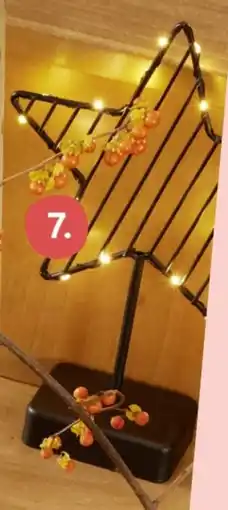 Rossmann Dekor LED-Stern Angebot