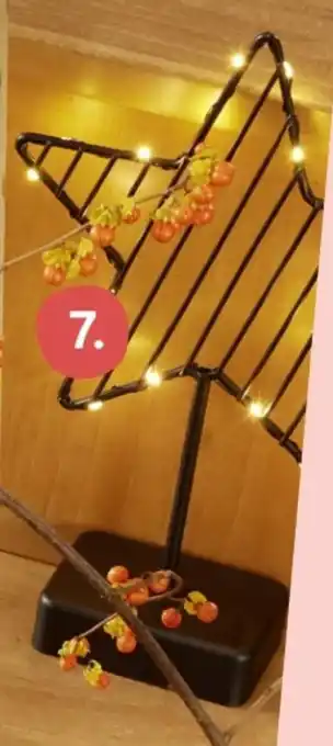 Rossmann Dekor LED-Stern Angebot