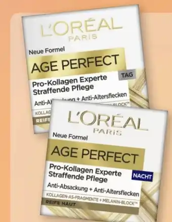 Rossmann L'Oréal Paris Age Perfect Pro-Kollagen Experte Tagespflege Angebot