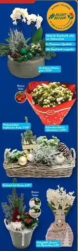 Aldi Süd Gardenline Kalanchoe-Schale Christmas Angebot