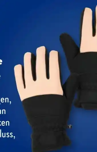 Aldi Süd Adventuridge herren Winterhandschuhe Angebot