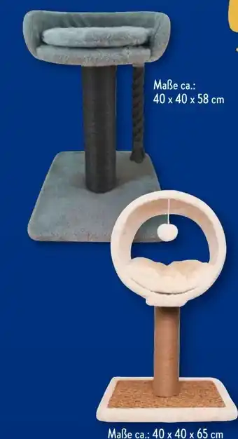 Aldi Süd Cachet Katzen Kratzbaum Angebot