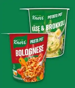 NETTO Knorr Snackbar Angebot