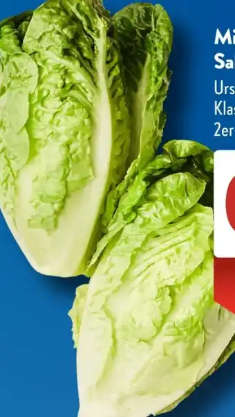 Aldi Süd Salatherzen Mini Romana Angebot