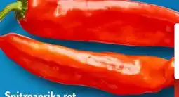 Aldi Süd Rote Spitzpaprika Angebot