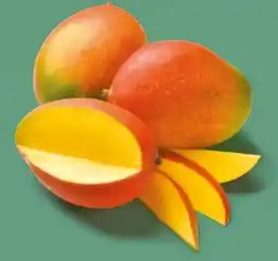 NETTO Mango Angebot