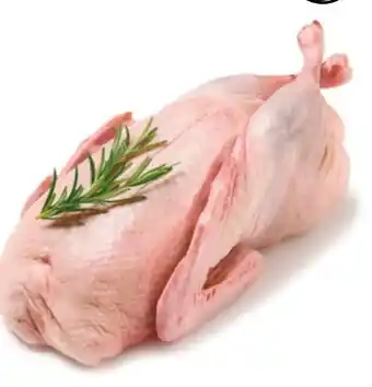 NETTO Junge Ente Angebot