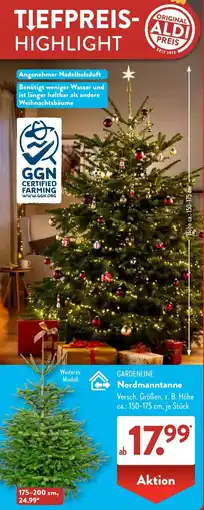 Aldi Süd GARDENLINE Nordmanntanne Angebot