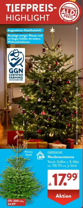 Aldi Süd GARDENLINE Nordmanntanne Angebot