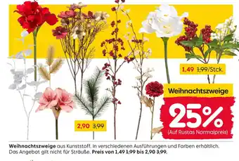 Rusta Weihnachtszweige Angebot