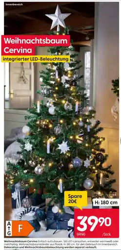 Rusta Weihnachtsbaum cervina Angebot