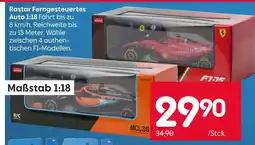 Rusta Rastar fernngesteuertes auto 1:18 Angebot