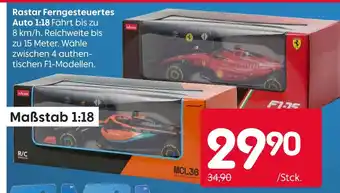 Rusta Rastar fernngesteuertes auto 1:18 Angebot