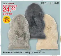 Möbelzentrum Pforzheim Linea natura echtes schaffell Angebot