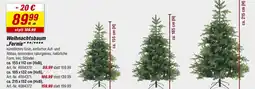 toom Baumarkt Weihnachtsbaum fernie Angebot