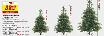 toom Baumarkt Weihnachtsbaum fernie Angebot