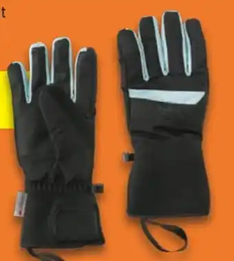 Lidl Crivit Ski-Handschuhe Angebot