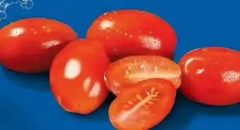 Lidl Dattel-Cherrytomaten Angebot