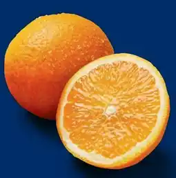 Lidl Orangen Angebot